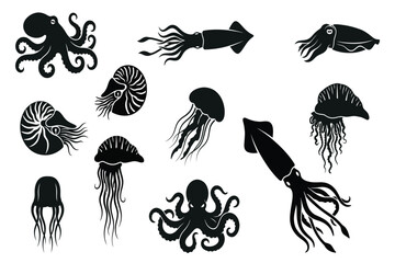 collection of jellyfish and octopuses isolated on transparent background © Rashedul Haque Sakib