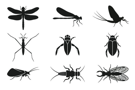 collection of insect silhouettes isolated on transparent background
