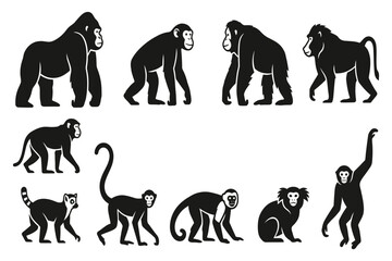 collection of monkey silhouettes in various poses isolated on transparent background © Rashedul Haque Sakib
