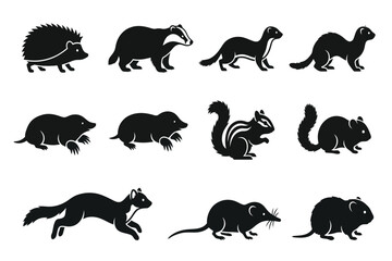 Obraz premium collection of animal silhouettes including hedgehog, badger, weasel, ferret, otter, opossum, skunk, squirrel, raccoon, fox, and rat isolated on transparent background