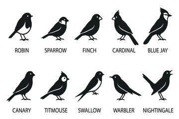 collection of various bird species silhouettes isolated on transparent background © Rashedul Haque Sakib