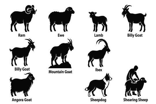 Set of 9 black and white farm animals and sheepdog isolated on transparent background