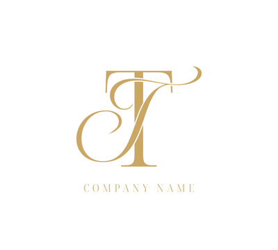 TT abstract letters logo monogram