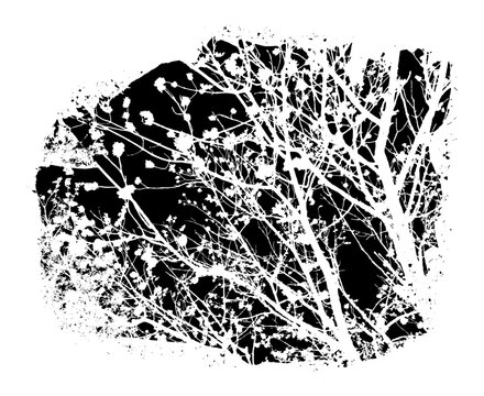 Black ink grunge abstract texture of  branches of tree. Overlay distressed effect, vintage print, transparent background.