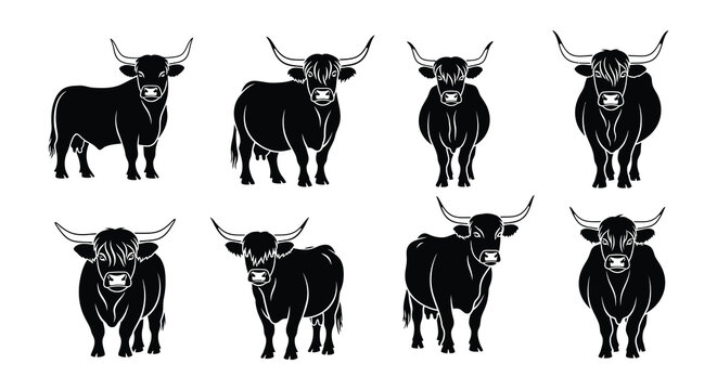 A collection of highland cattle illustrations in a black and white style