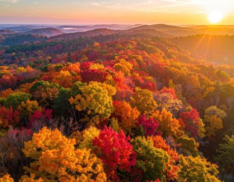 Golden hues illuminate a vibrant landscape