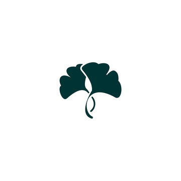 A minimalist vector icon showing two Ginkgo leaves overlapping at the base.