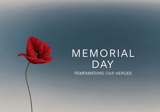 Memorial day remembrance a single red poppy honors fallen heroes