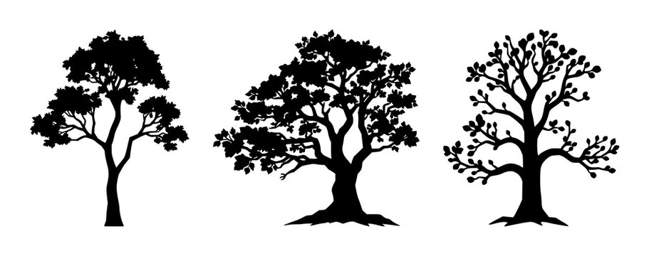 Money tree set with solid black icon on white background featuring passive income, money, finance with illustration and vector