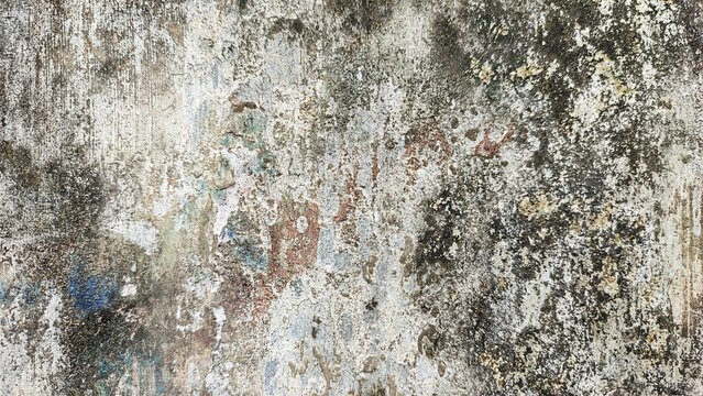 High-resolution textured background of a weathered and worn concrete wall. Creates an industrial, urban, or rustic aesthetic perfect for layered designs.