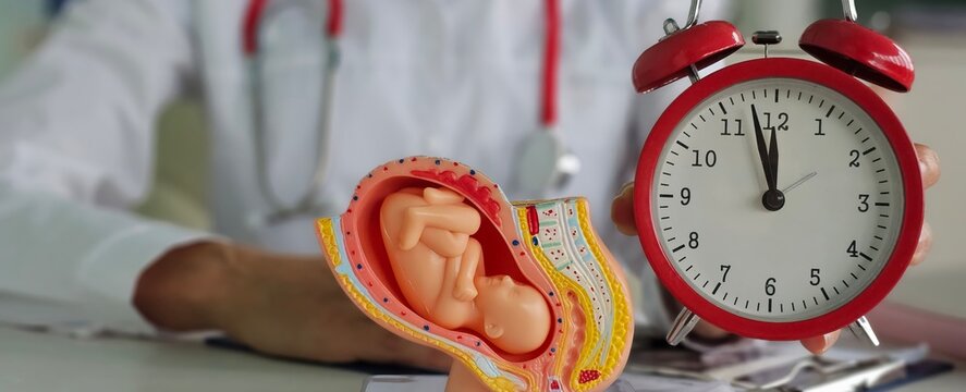 Fetal gynecologist baby watch alarm clock in female age and fertility clinic