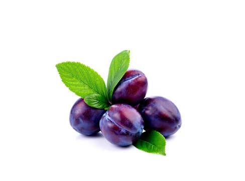 Plums isolated on white background.