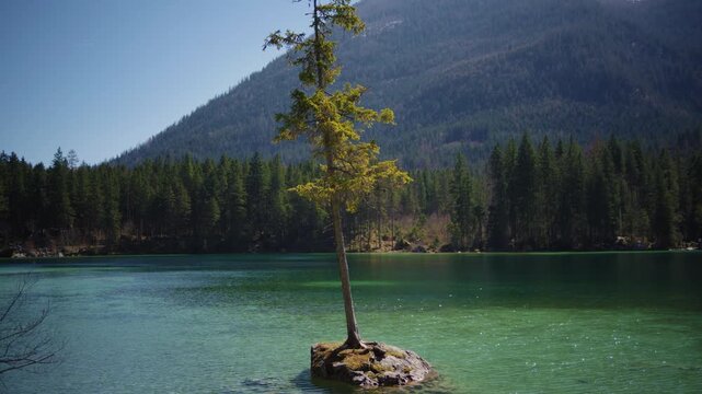 Stone island with small trees in the middle of Hintersee lake, scenic Berchtesgaden national park.