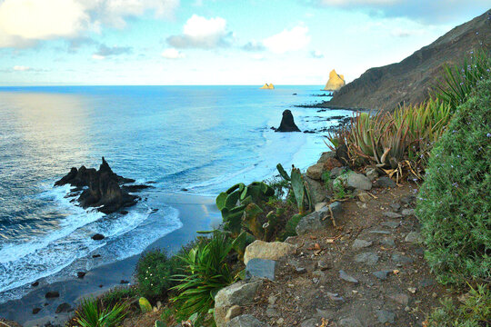 Scenic view of the rugged coastline at Benijo beach with volcanic rock formations and succulent plants on a hiking trail, Tenerife, Canary Islands, Spain