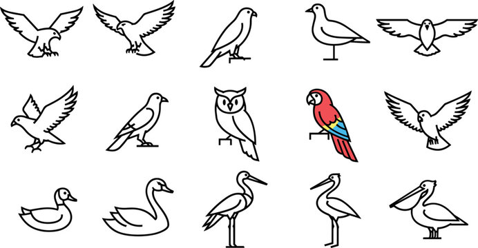 Bird icon set with outline and one colored parrot featuring owl duck swan pelican in minimal vector style