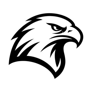The fierce eagle head illustration depicts a bird in profile view.