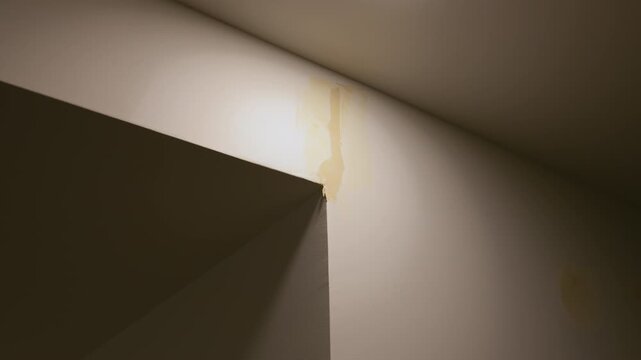 Close up shoot of Worker applying wall putty with a spatula to repair surface imperfections. Interior renovation process showing smoothing and preparation of wall before painting in a home improvement