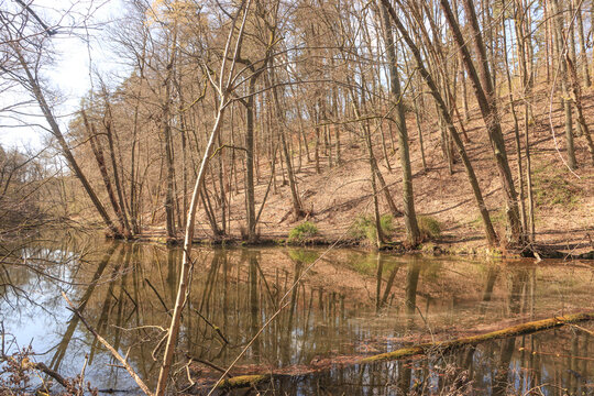 Fr&uuml;hling im Schlaubetal; Uferpartie am Langesee