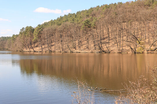 Fr&uuml;hling im Schlaubetal; Blick &uuml;ber den Gro&szlig;en Treppelsee