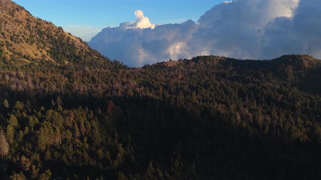 Nevado de Colima, Jalisco and Colima, Mexico - A Scenic View of its Forested Slopes Stretching Across the Landscape - Aerial Drone Shot