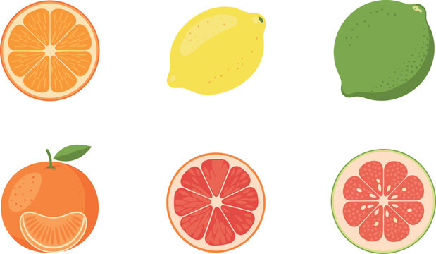 Citrus fruit vector icon set with orange lemon lime grapefruit slices in colorful flat minimal illustration style