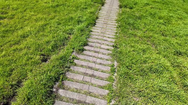 杵島岳から見える阿蘇の草千里ヶ浜