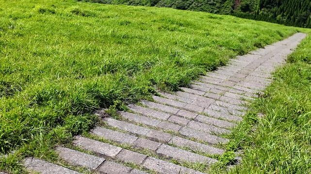 杵島岳から見える阿蘇の草千里ヶ浜