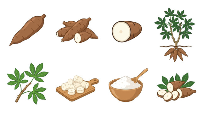Detailed illustration collection featuring raw cassava roots, chopped vegetable slices, green leaves, and a wooden bowl filled with white starch