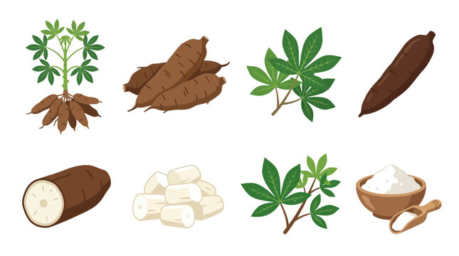 Detailed set of fresh cassava roots, green leaves, chopped tubers, and a wooden bowl filled with white tapioca starch powder