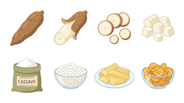 A collection of fresh raw cassava roots, peeled pieces, sliced sections, flour, tapioca pearls, cooked sticks, and crunchy crispy chips