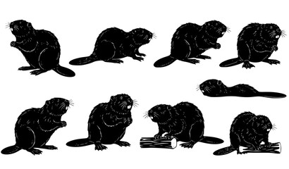 Beaver silhouette vector set with multiple wildlife poses for nature and animal design © Sabbir