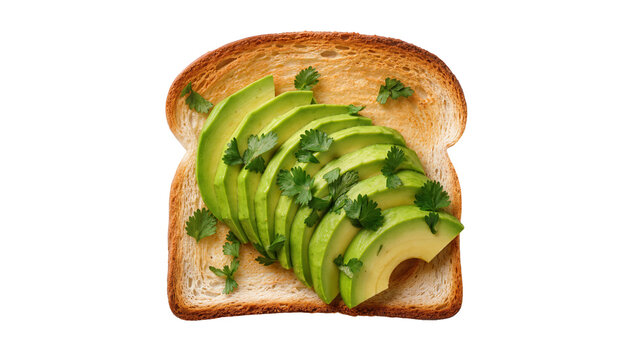 Toasted bread slice with fanned avocado slices and cilantro, isolated on transparent background
