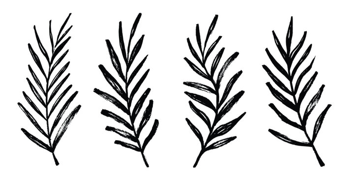 Grunge Brush Palm Leaf Silhouettes Set. Tropical vector palm leaf icons drawn with dry ink, markers and crayons.