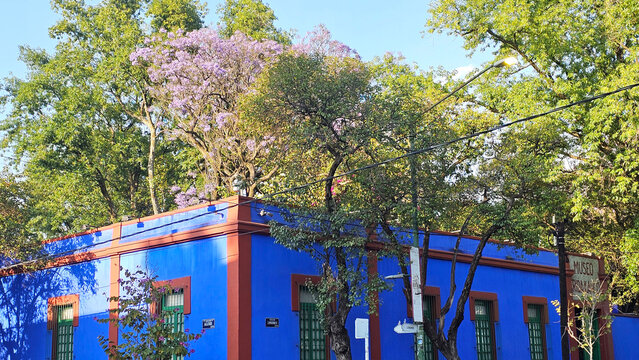 Mexico City, Mexico - Mar 25, 2026: Frida Kahlo Museum or Blue House, the most representative cultural venue of the Mexican artist, exhibits her artistic legacy in Coyoacan, CDMX