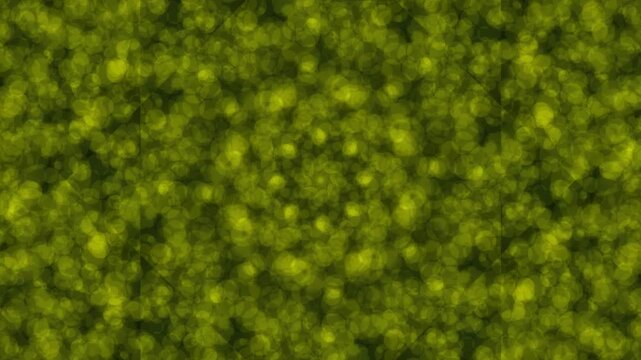 Abstract green background with a swirling pattern and texture.