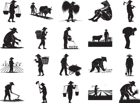 Asian Farmers Silhouettes in Rural Agricultural Setting