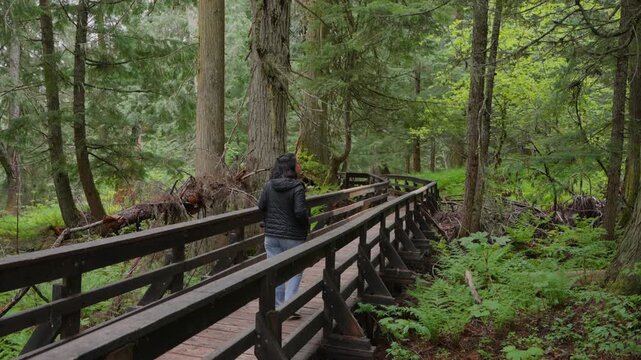 Woman walking on a wooden boardwalk through a lush, ancient forest in Chun T'oh Whudujut