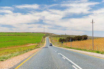 Naklejka premium Asphalt road in South Africa surrounded by fields