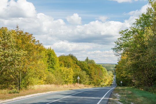 Country asphalt road in summer landscape