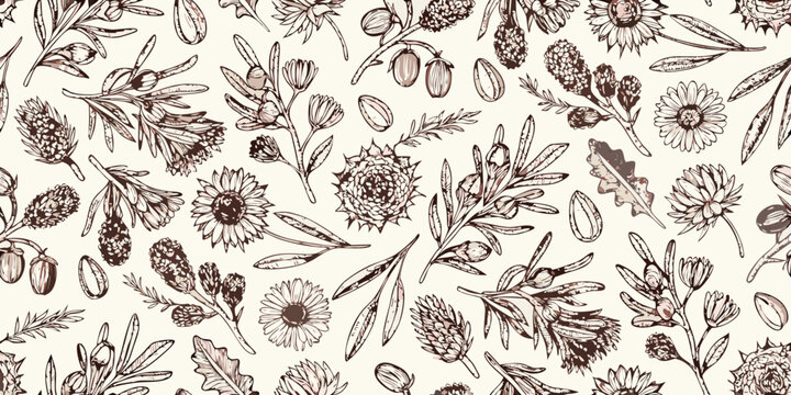 Vintage botanical illustration featuring a variety of wildflowers and foliage