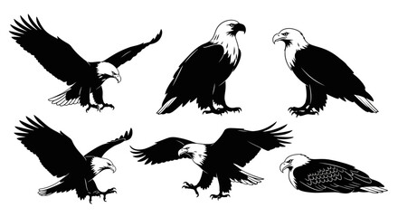 Obraz premium Bald Eagle Set in Various Poses ? Majestic Wildlife Vector Illustration