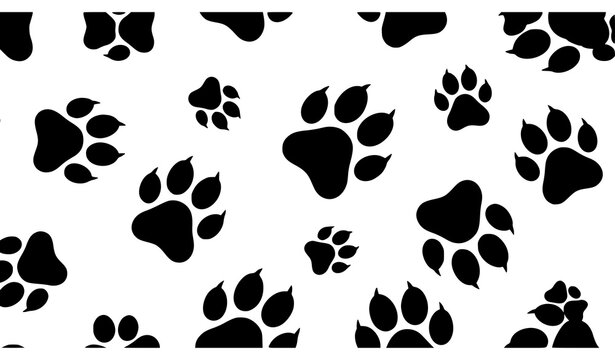 Playful black paw prints pattern vector animal footprint design