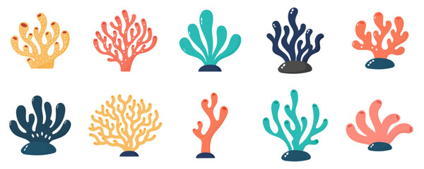 Colorful Hand Drawn Coral Reef Set © Caroline Rose