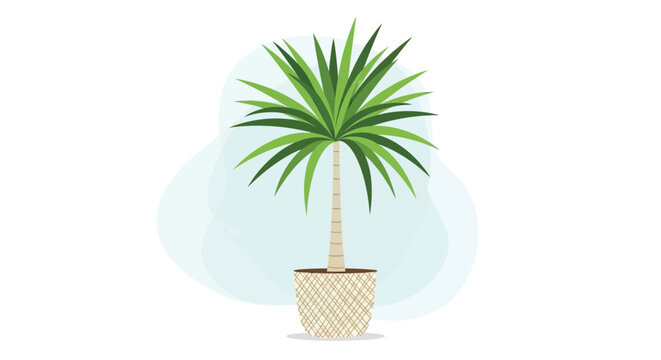 A stylized illustration depicts a yucca plant in a woven pot against a soft blue background