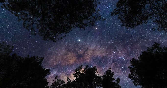 Upward gaze at the sky on Milky Way from forest. Timelapse shot, Earth rotation concept. Camera is zooming in, moving bottom right. Wide angle lens shot