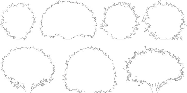 Minimalist tree crown outlines, set of 7 architectural landscape plant symbols, black and white line art vector icons for site plans and garden design