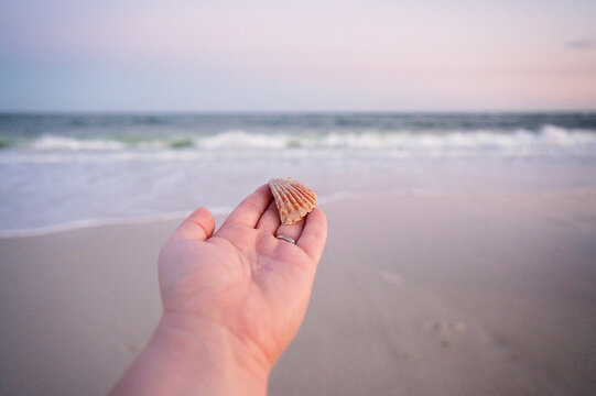 Hand holding scallop shell during Gulf Shores beach sunset