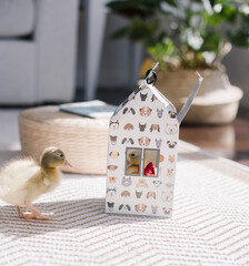 Naklejka premium Curious duckling explores cozy indoor scene