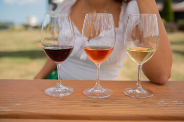 Naklejka premium Wine Glasses Outdoors Tasting Selection
