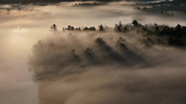 Peaceful Early morning mist over a lake and pine trees in Maine.